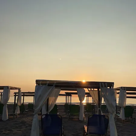 Te Taku * 费里